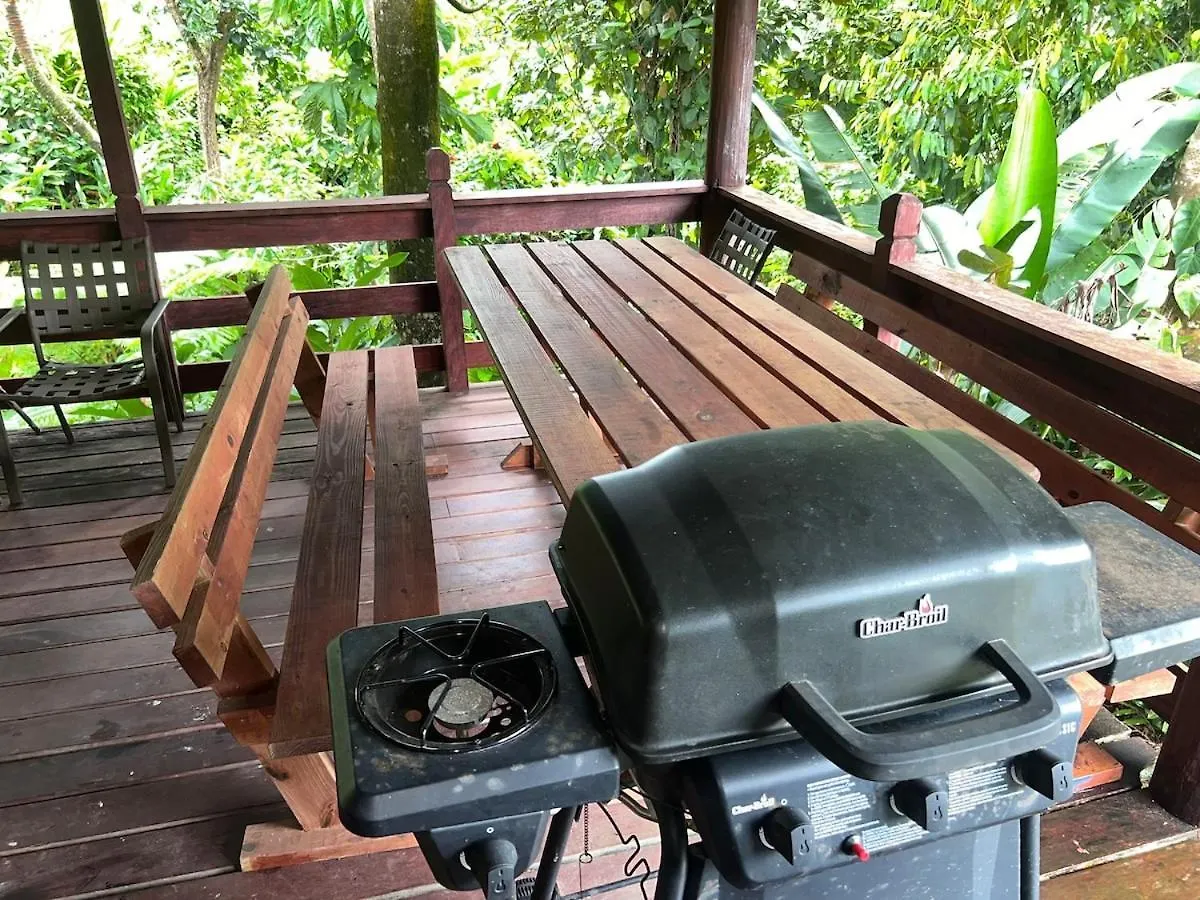 Rayasta House Villa Roseau Holiday home